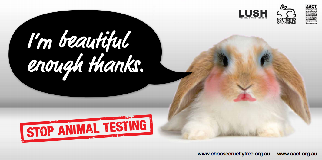 Animal Testing Types Animal Testing Mistreatment